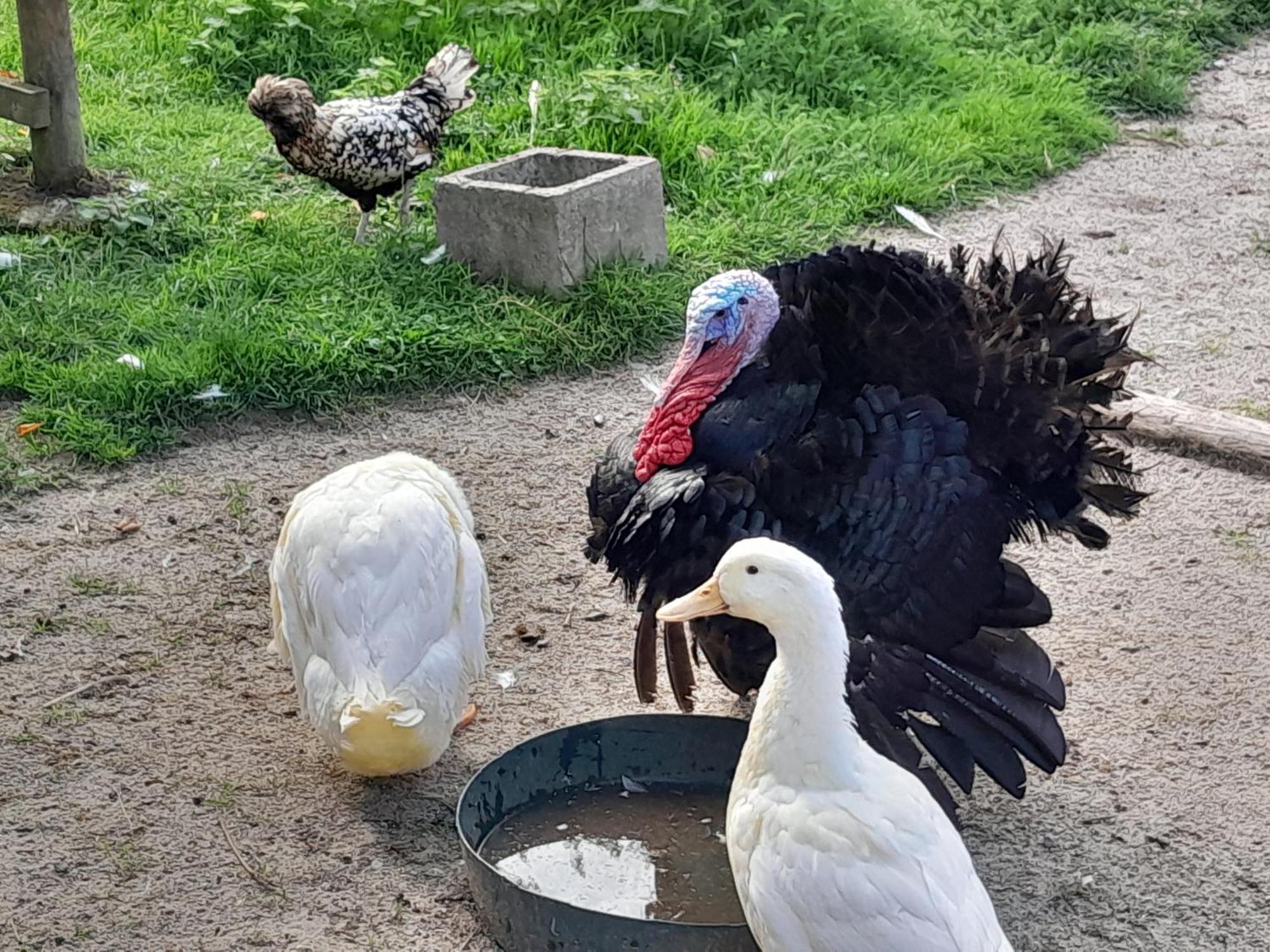 Le Paddock Du Val De Lys Ξενοδοχείο Blessy Εξωτερικό φωτογραφία